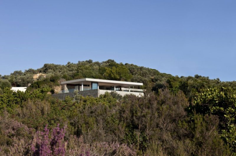 Majestic Plane House by K Studio majestic plane house by k studio 73dd18c