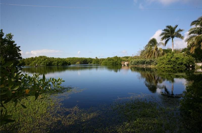 Majestic Royal Vista Estate for Sale majestic royal vista estate for sale 5b2d9c6