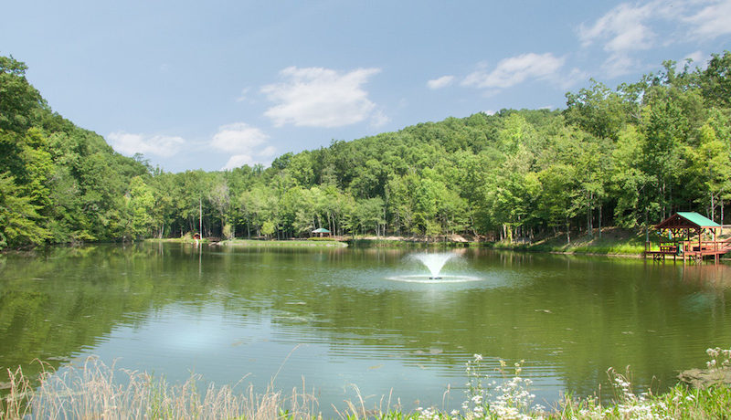 Massive And Opulent Estate In Franklin, Tennessee massive and opulent estate in franklin tennessee 382d8e1