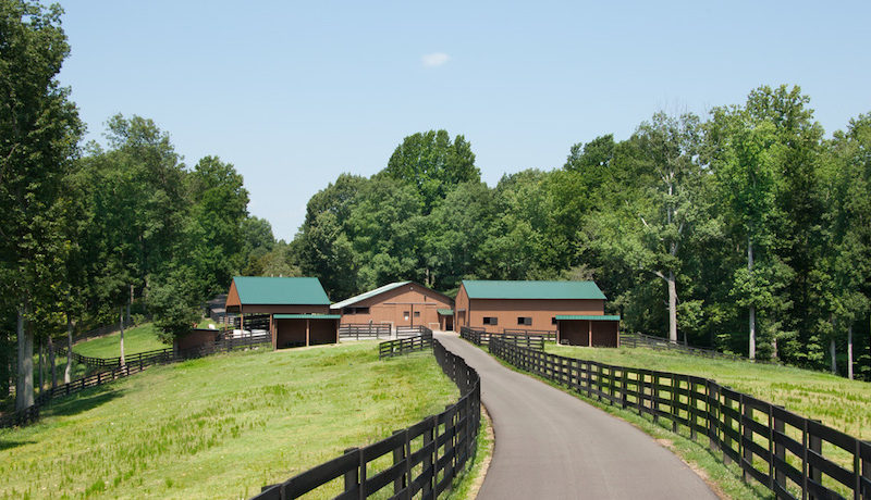 Massive And Opulent Estate In Franklin, Tennessee massive and opulent estate in franklin tennessee 6b0be41