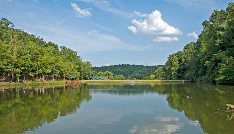 Massive And Opulent Estate In Franklin, Tennessee massive and opulent estate in franklin tennessee 761213b