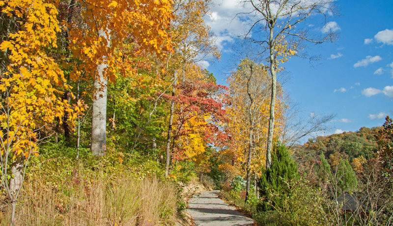 Massive And Opulent Estate In Franklin, Tennessee massive and opulent estate in franklin tennessee 8da986f