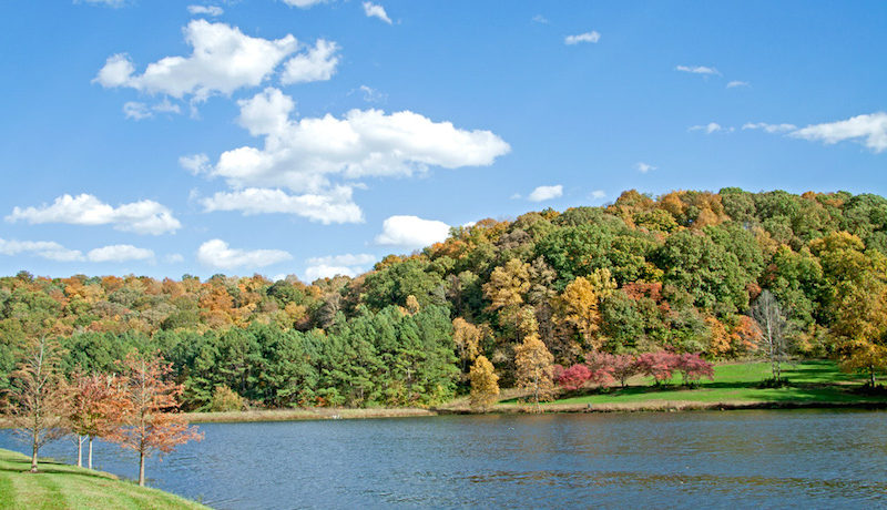 Massive And Opulent Estate In Franklin, Tennessee massive and opulent estate in franklin tennessee a562685