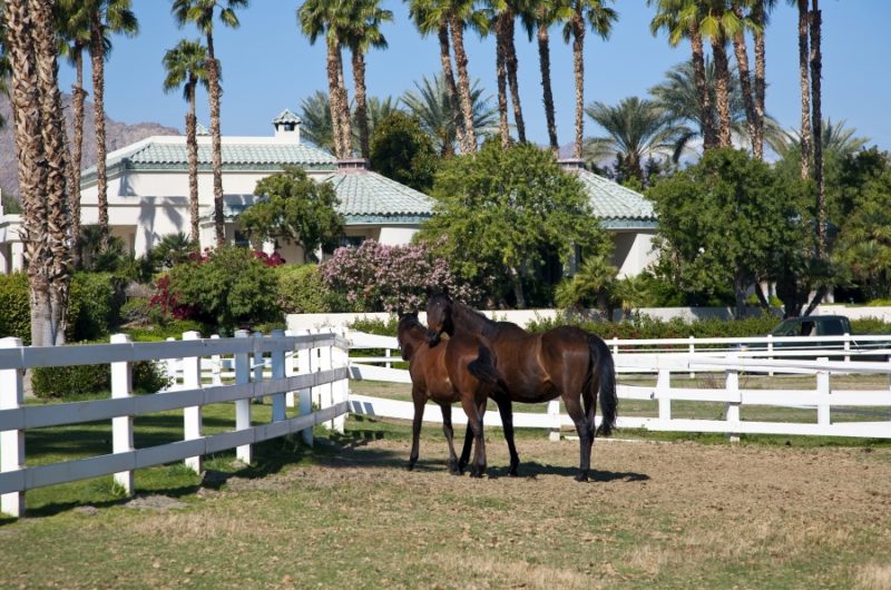 Merv Griffin's Former Estate by Waldo Fernandez merv griffins former estate by waldo fernandez 30d48eb