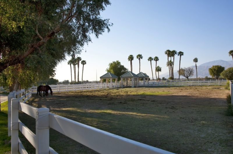 Merv Griffin's Former Estate by Waldo Fernandez merv griffins former estate by waldo fernandez be78db8