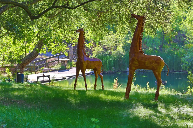 Mexican-Inspired Malibu Estate and Vineyard mexican inspired malibu estate and vineyard 795e579