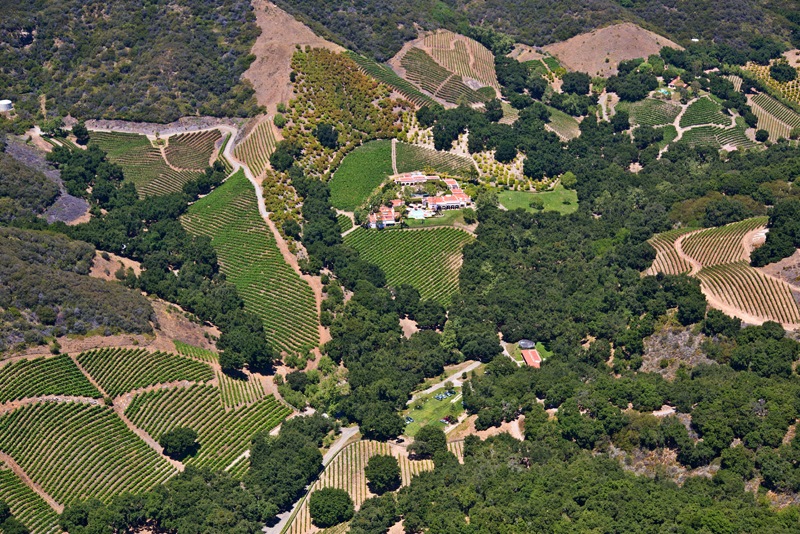 Mexican-Inspired Malibu Estate and Vineyard mexican inspired malibu estate and vineyard 8f83359