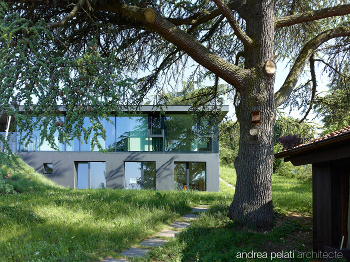 MIV Villa in Switzerland by Andreea Pelati miv villa in switzerland by andreea pelati 1499e4d