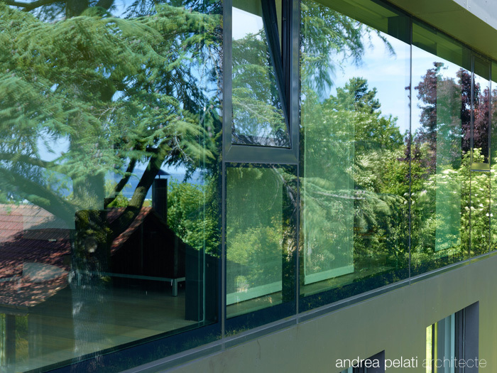 MIV Villa in Switzerland by Andreea Pelati miv villa in switzerland by andreea pelati 6f7aab0