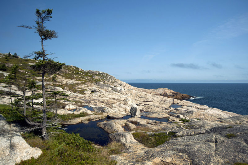 Nova Scotia by Alexander Gorlin and Associates nova scotia by alexander gorlin and associates 55a3d13