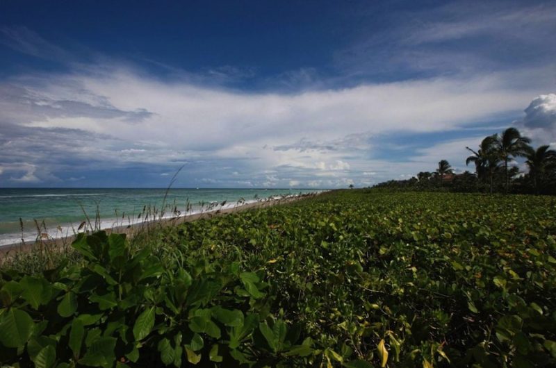 Oceanfront Mansion in Florida, United States oceanfront mansion in florida united states e0eadaf