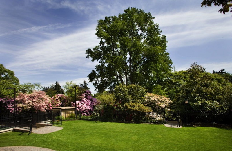 One-of-a-kind Green Tree Estate in Washington, United States one of a kind green tree estate in washington united states 8945d69