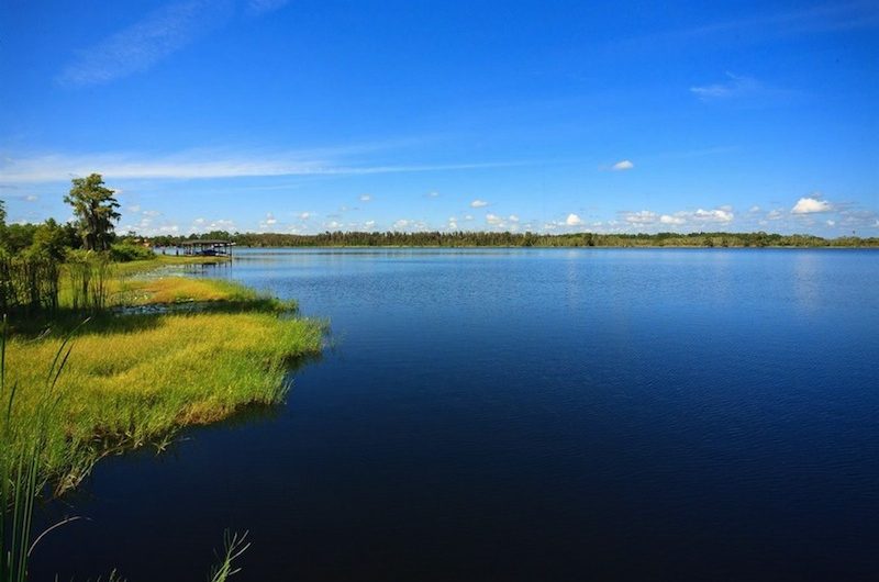 Outstanding French Country Equestrian Estate in Orlando, Florida outstanding french country equestrian estate in orlando florida 8fbfc0f