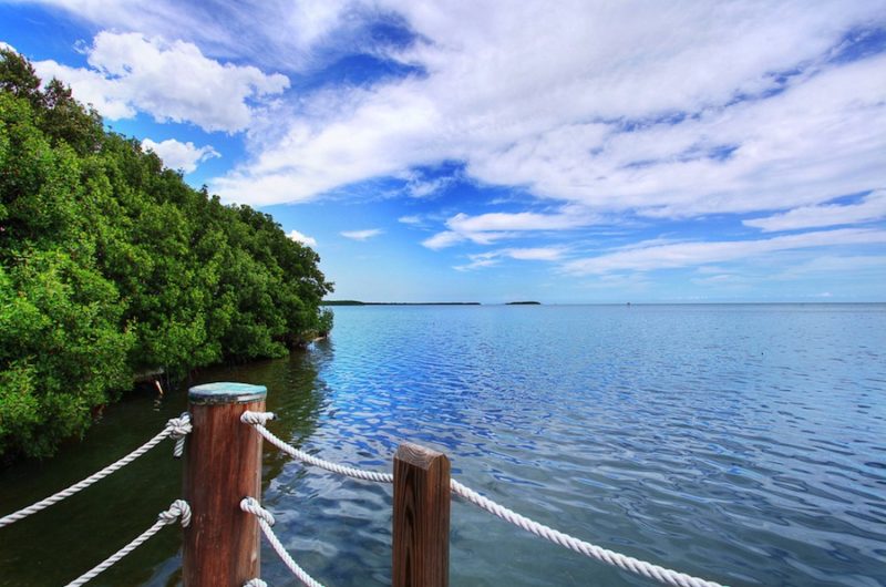 Outstanding Modern Masterpiece in Miami, Florida outstanding modern masterpiece in miami florida 975e363