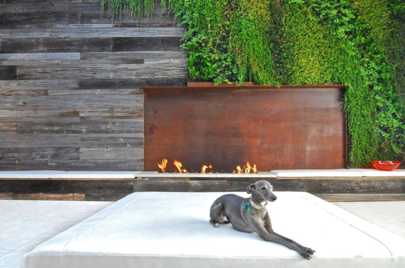 Radiant Seven4one4 by Horst Architects radiant seven4one4 by horst architects c8bc3b6