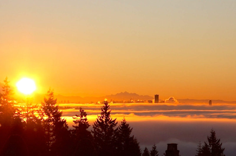 Rockridge Residence in Vancouver rockridge residence in vancouver 69b9666