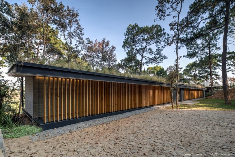 Six Beautiful ideas applicable on a house immersed in Nature six beautiful ideas applicable on a house immersed in nature 79b17c7