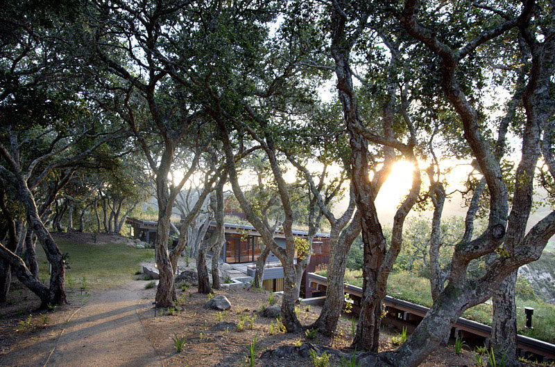 Sustainable House Ocho in Monterey County, California sustainable house ocho in monterey county california cad3655