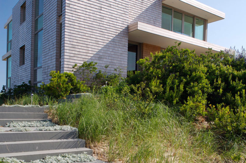 The Dune House Project by Stelle Architects the dune house project by stelle architects 42056ee