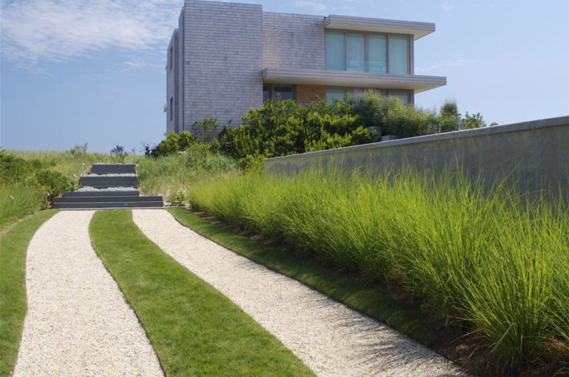 The Dune House Project by Stelle Architects the dune house project by stelle architects 6043a5e