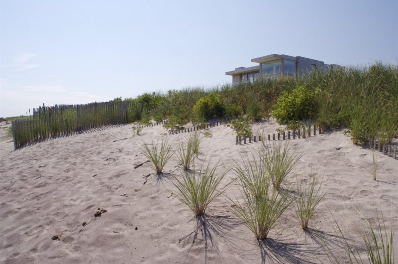 The Dune House Project by Stelle Architects the dune house project by stelle architects 86dacff