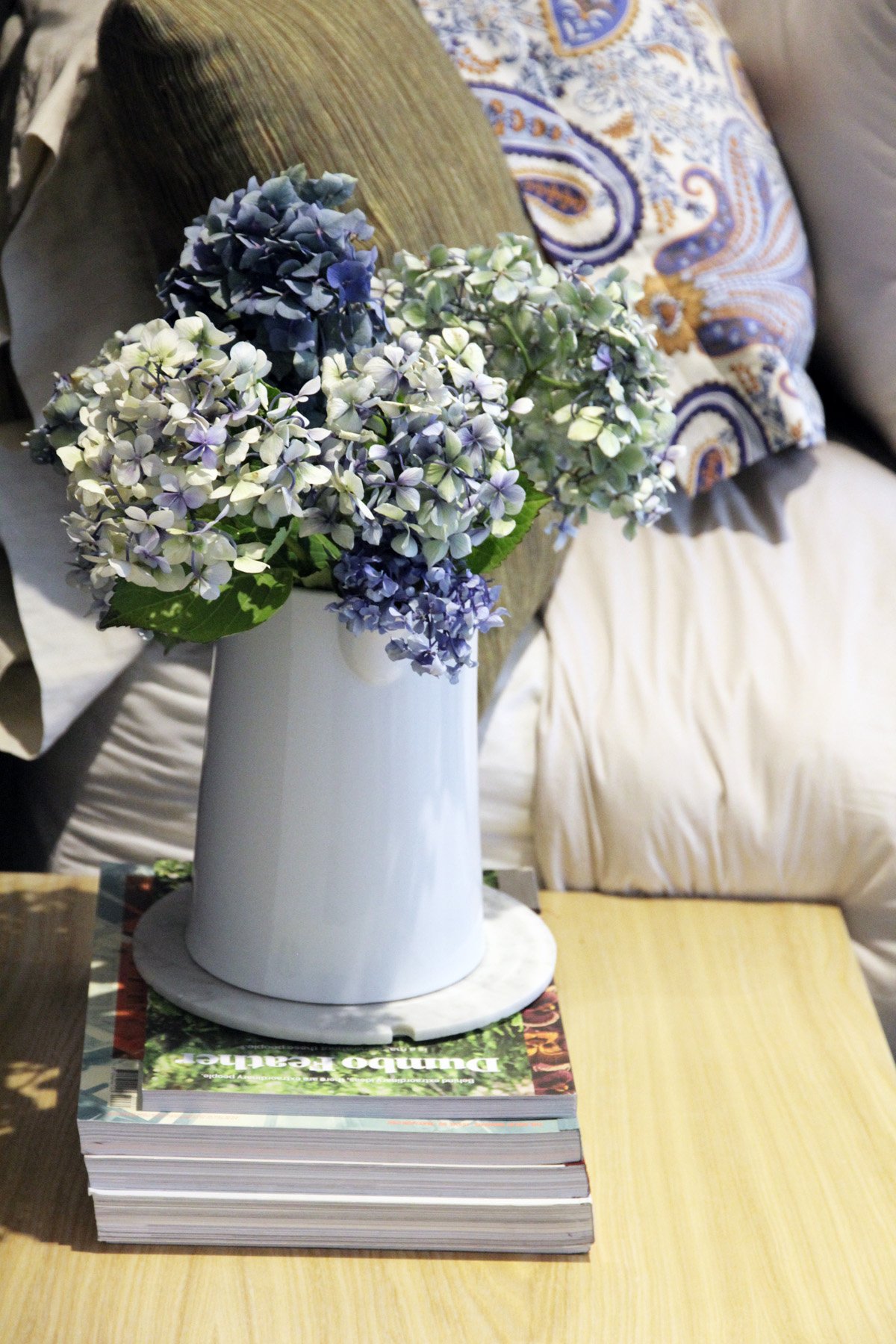 The Effective Brighton Escape by Georgia Ezra the effective brighton escape by georgia ezra 06605b3