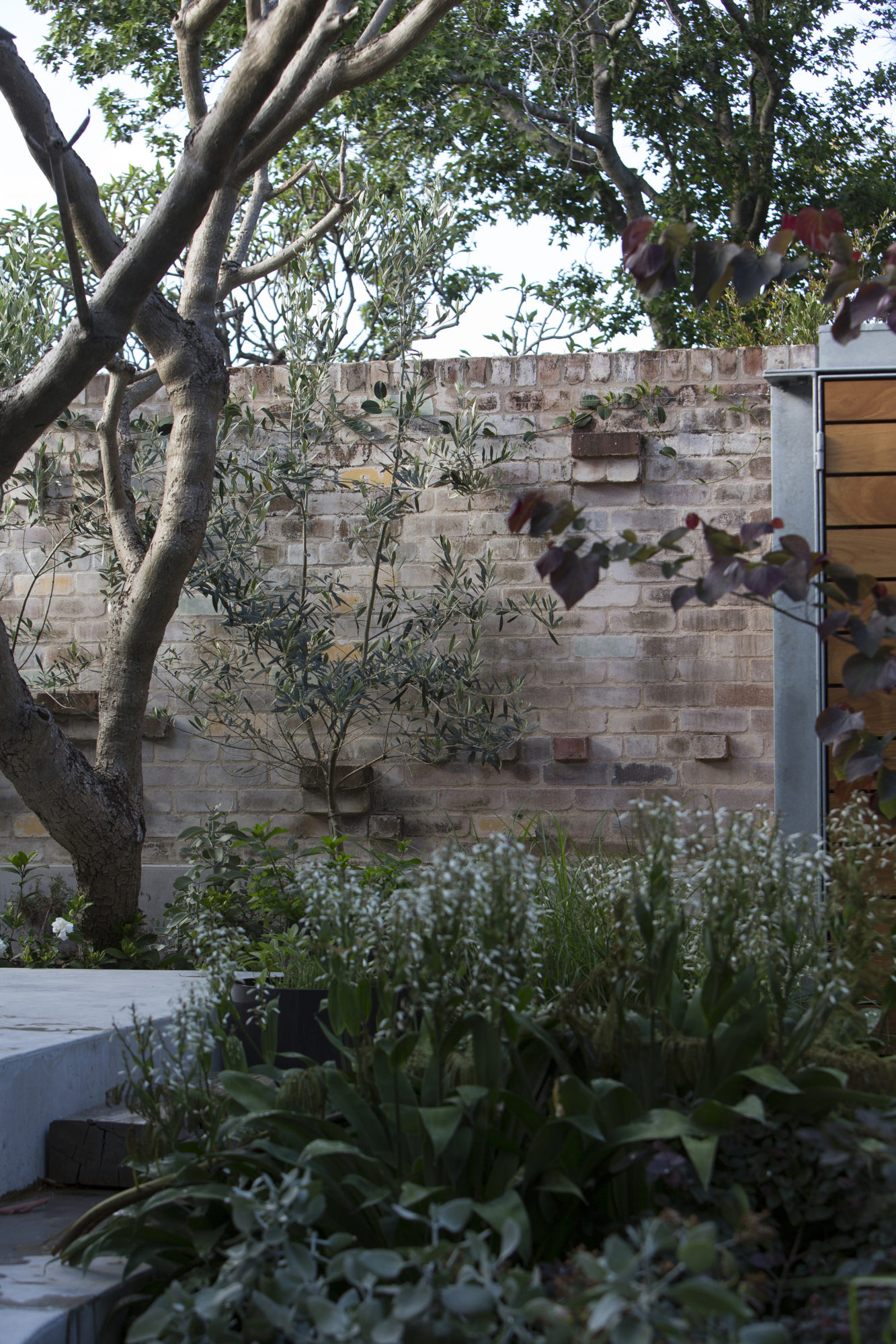 The Garden Room In Sydney, Australia the garden room in sydney australia 27cd55d