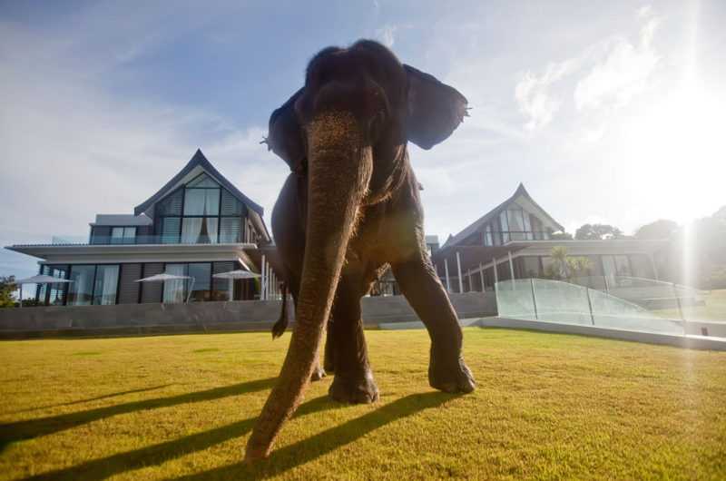 The Superb Villa Verai on Phuket Island, Thailand the superb villa verai on phuket island thailand 2f02ea7