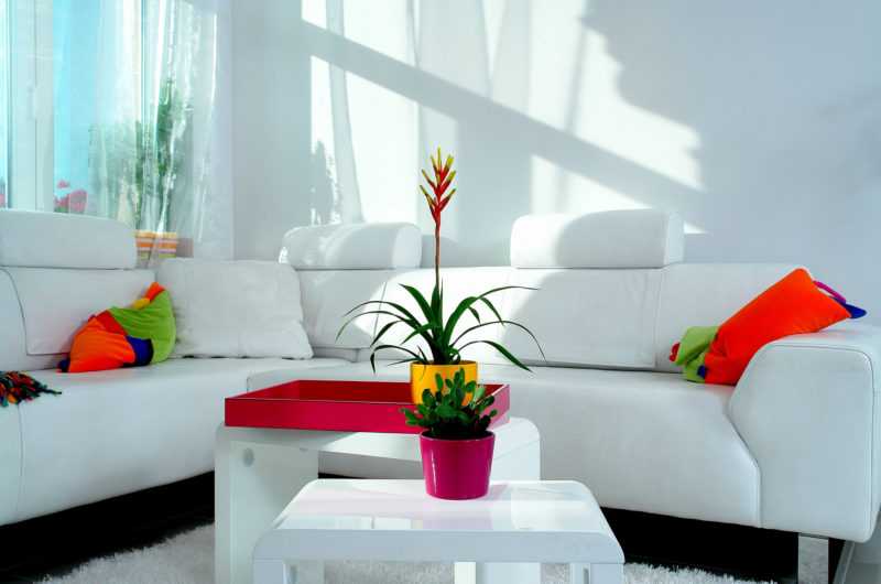 “We Can Dream in Color” Apartment in Budapest we can dream in color apartment in budapest 9b4c91b