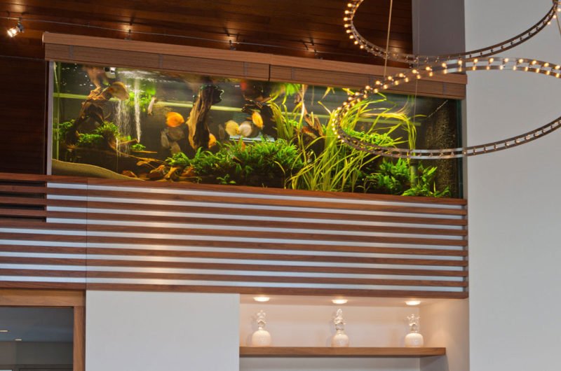 Eclectic Villa with Aquarium by Centric Design Group eclectic villa with aquarium by centric design group 0657f9a