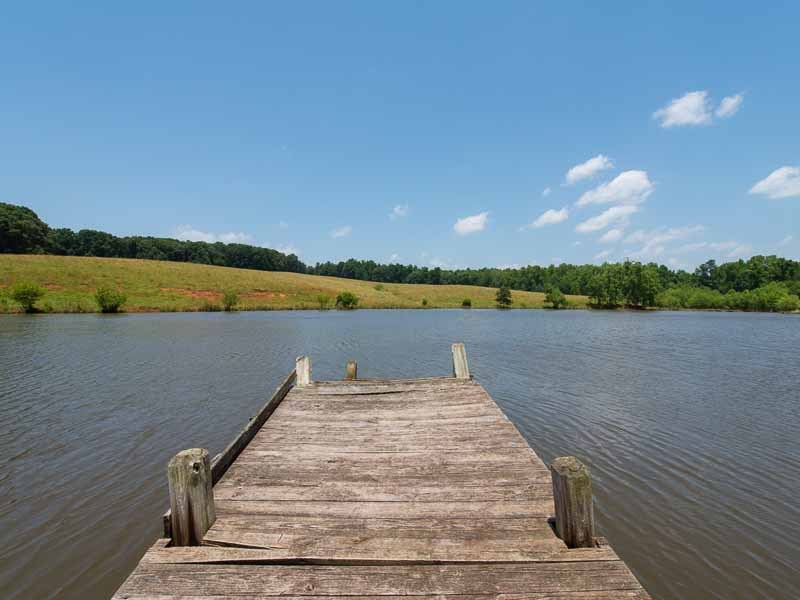 Fabulous Gainesville Estate in U.S fabulous gainesville estate in us e04644e