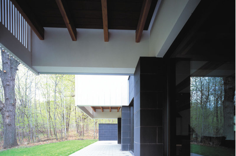 Modern Streeter Residence by David Salmela Architect modern streeter residence by david salmela architect 1466c05