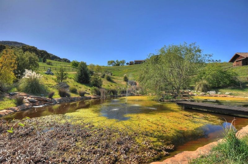 One of a Kind Great Oaks Estate one of a kind great oaks estate 83d8f79