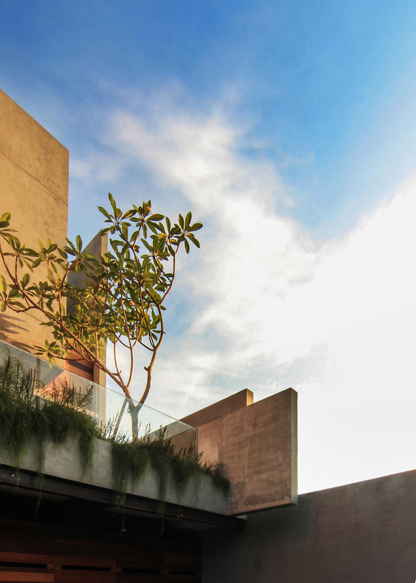 Precious Lumber Shaped-Box House by Atelier Riri precious lumber shaped box house by atelier riri 42a8996