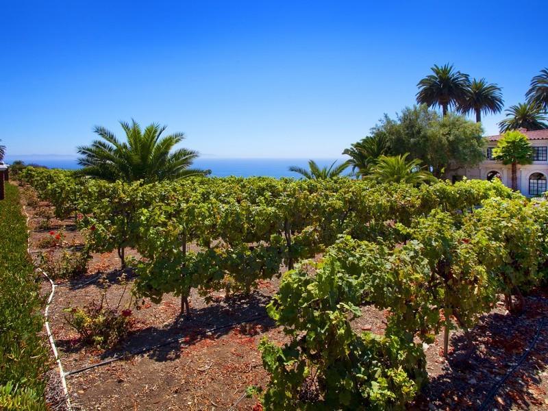 Breathtaking Villa LaBarba Priced at $12,000,000 breathtaking villa labarba priced at 12000000 e827f3b