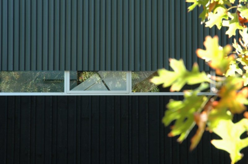 Contemporary Bark House In Hamilton, New Zealand contemporary bark house in hamilton new zealand 7d6b7be