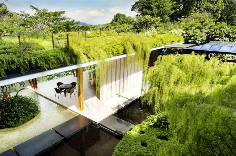 Gorgeously Designed Willow House in Singapore gorgeously designed willow house in singapore 9561864