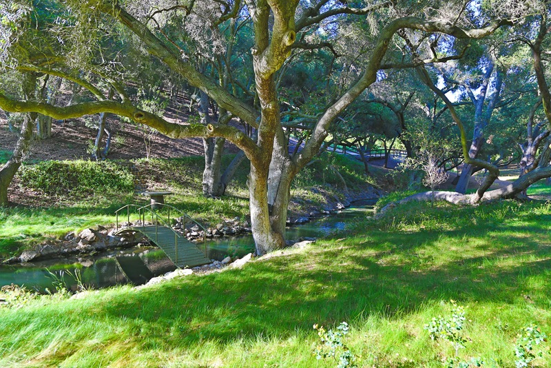 Mexican-Inspired Malibu Estate and Vineyard mexican inspired malibu estate and vineyard 0601a5f