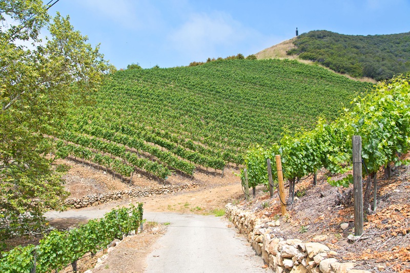 Mexican-Inspired Malibu Estate and Vineyard mexican inspired malibu estate and vineyard 43c1ba3
