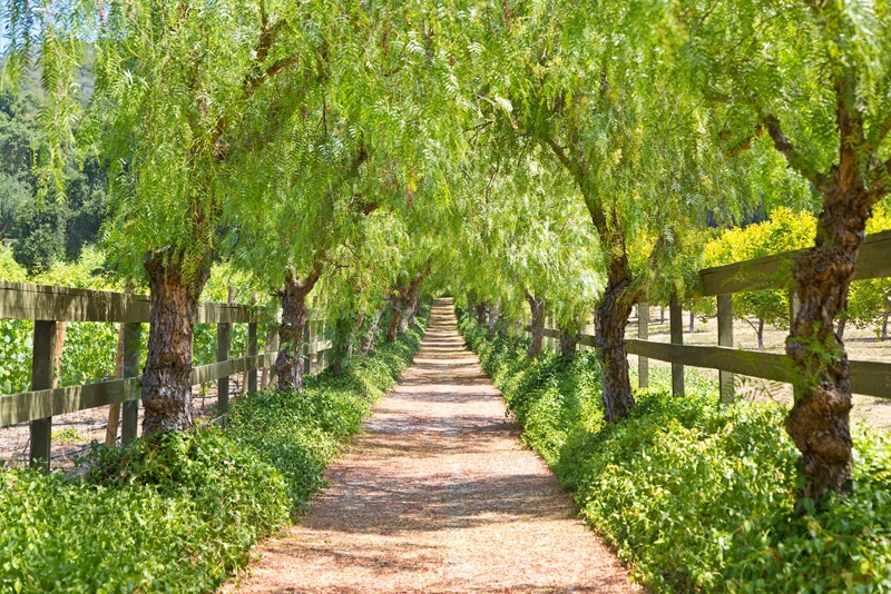 Mexican-Inspired Malibu Estate and Vineyard mexican inspired malibu estate and vineyard 553de14