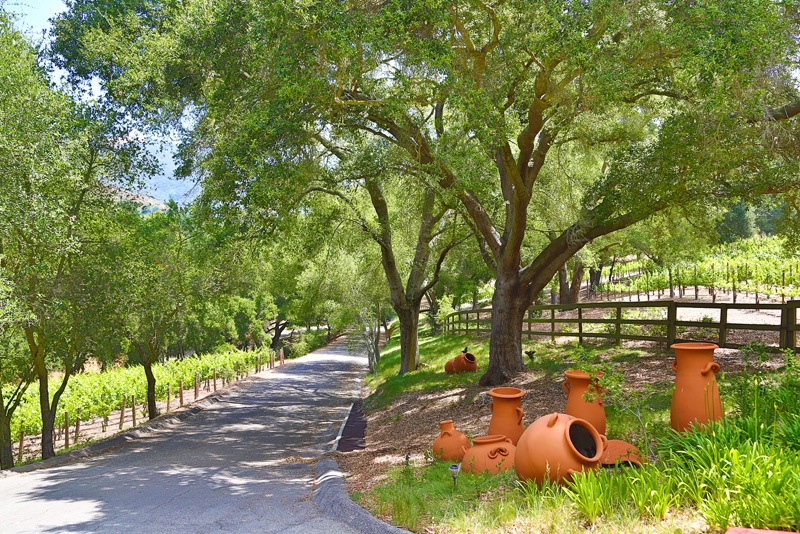 Mexican-Inspired Malibu Estate and Vineyard mexican inspired malibu estate and vineyard 877e46c