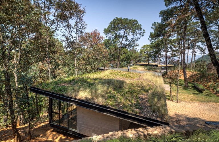 Six Beautiful ideas applicable on a house immersed in Nature six beautiful ideas applicable on a house immersed in nature 05fe5f1