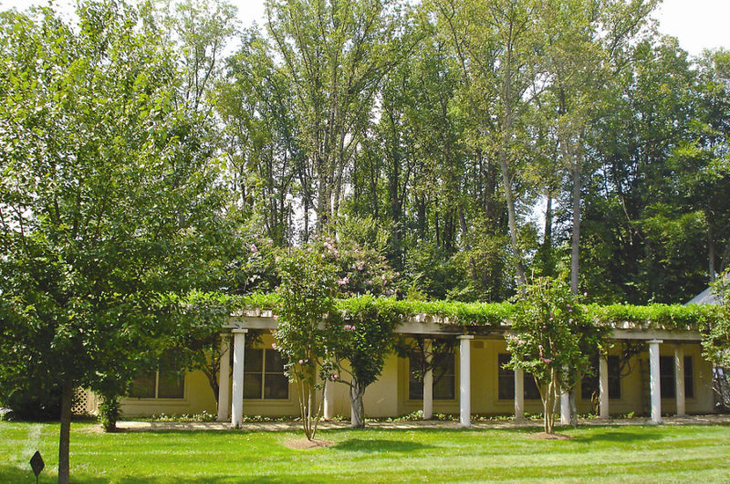 Eclectic Eaglecrest in Virginia, United States eclectic eaglecrest in virginia united states fc4724a