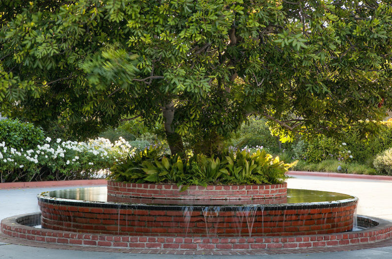 inspiring compound in toluca lake california 7c1b4f3