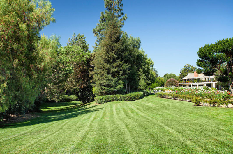 Inspiring Compound In Toluca Lake, California inspiring compound in toluca lake california c11a8bf
