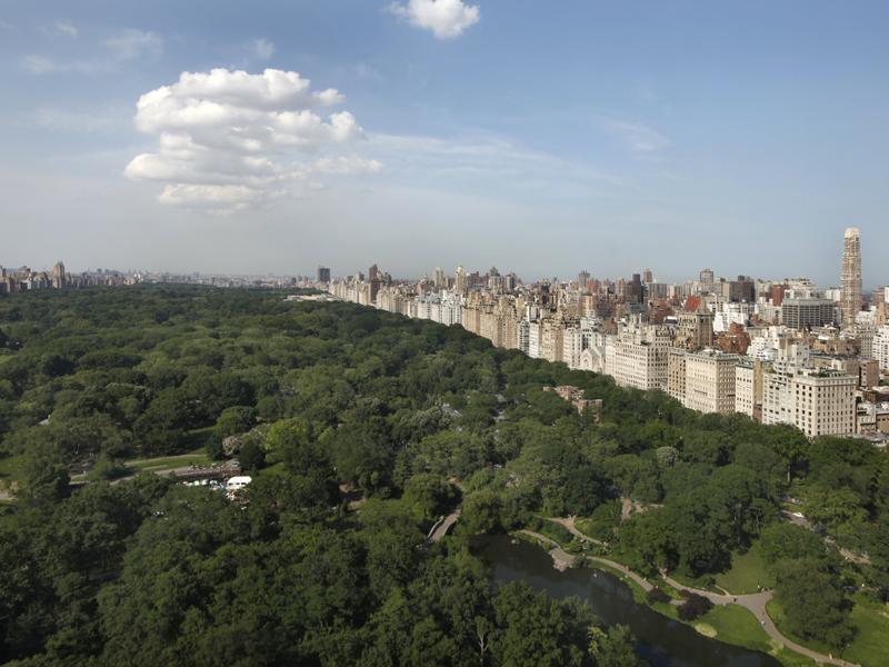 Lavish Ritz Carlton Residence in New York: $50 Million lavish ritz carlton residence in new york 50 million a6a0ef8