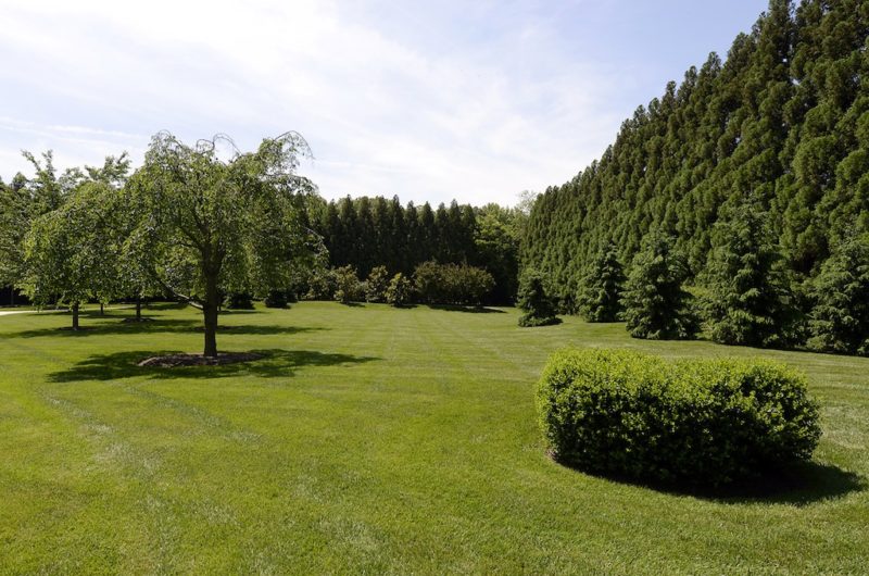 Magnificent Alderley in Great Falls, United States magnificent alderley in great falls united states 6ab853b