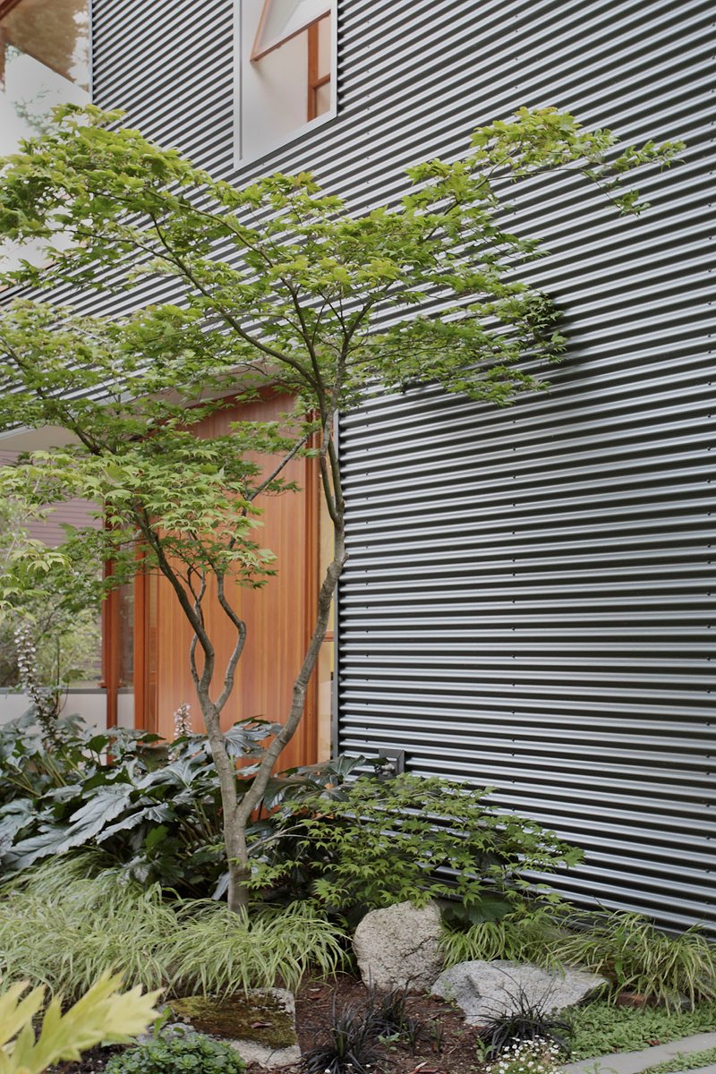 Modern And Cozy Main Street House In Seattle, Washington modern and cozy main street house in seattle washington 588e3ee