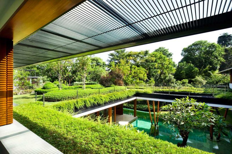 Serene Water Lily House In Singapore serene water lily house in singapore 7efbcbc