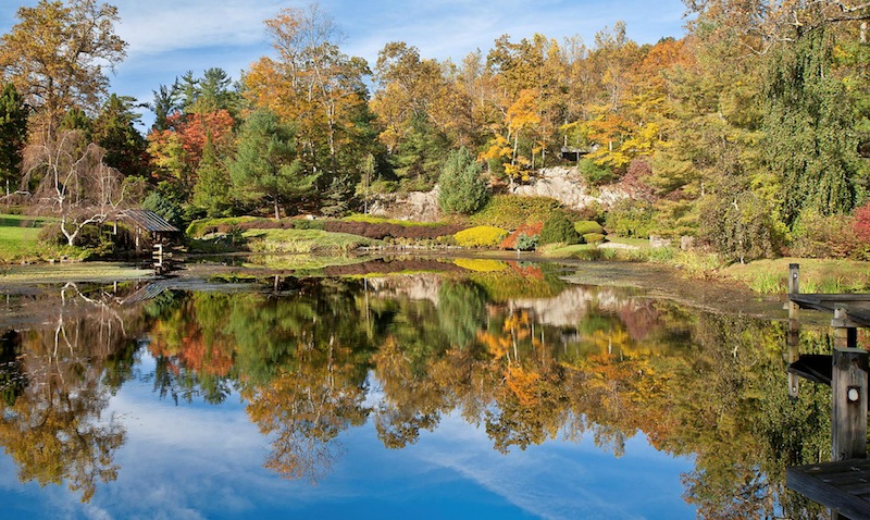 stupendous twin ponds in new york 3a0682f